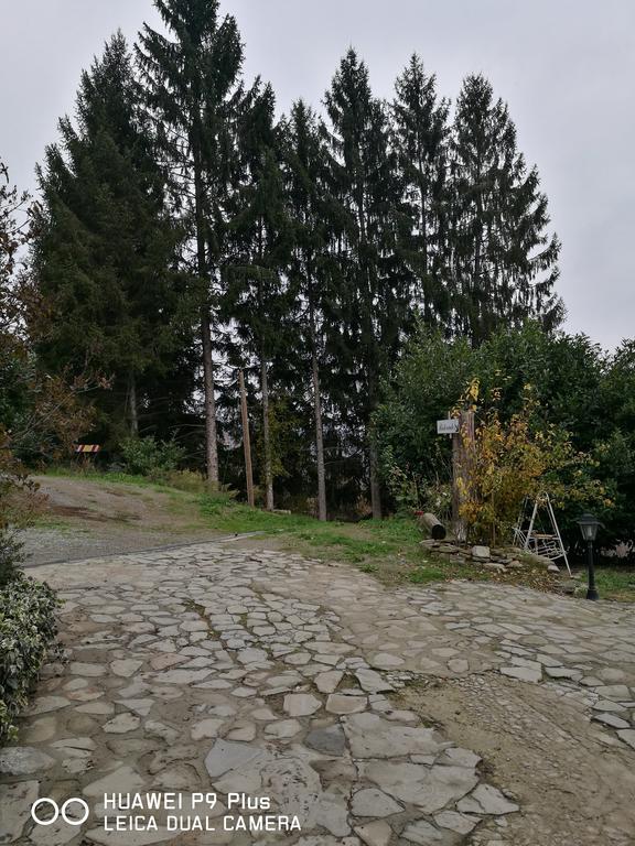 Agriturismo Davide Bossolasco Zewnętrze zdjęcie